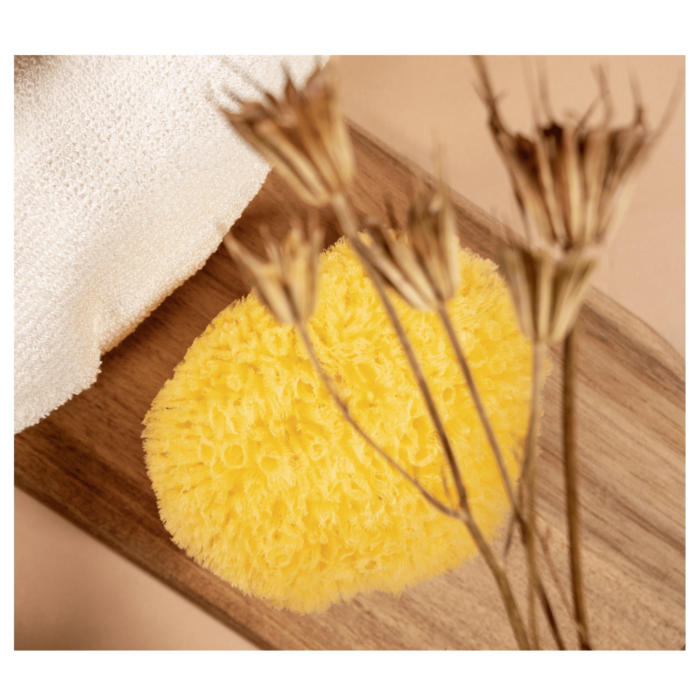 peclavus® wellness Looduslik käsn - Image 2