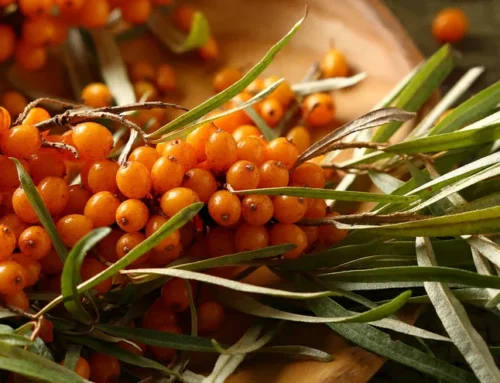 Uuringutega kinnitatud parim talutavus